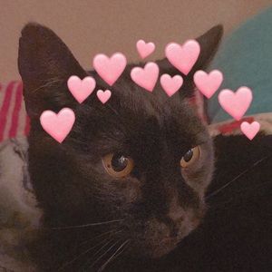 Meet your Posher, Kelli